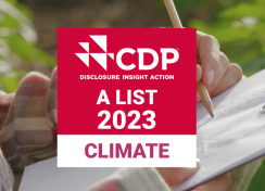 Leiderschap in transparantie en prestaties op het gebied van klimaatverandering: Heidelberg Materials ontvangt topscore "A" van CDP