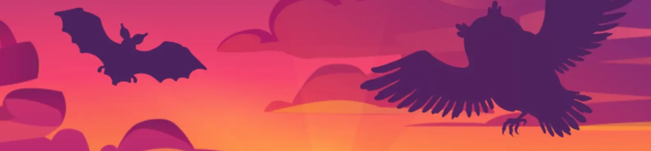 Une chauve-souris et un oiseau volant devant un ciel coloré au coucher du soleil.